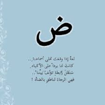 عبارات جميلة عن اللغة العربية