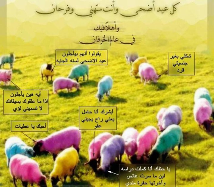 شعر عيد الاضحى - اروع العبارات مناسبة العيد الكبير 6818 6