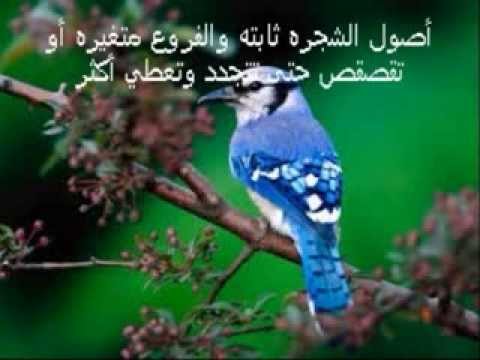 كلام عن الطبيعة - صور طبيعية تعطيك الراحة 3281 1