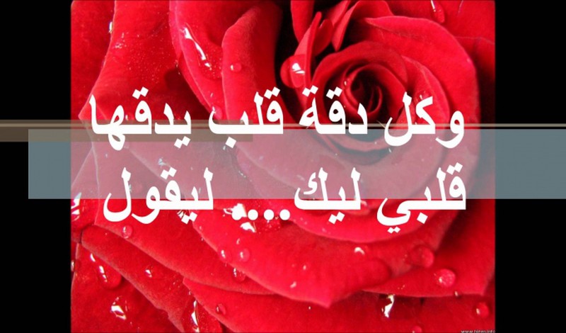 اشعار حب جديده/منشأ القلب 5847 1