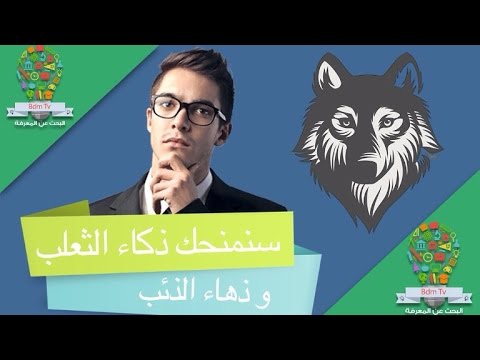 كيف تصبح داهية - شغل عقلك شوية اكيد حتعرف 0 78