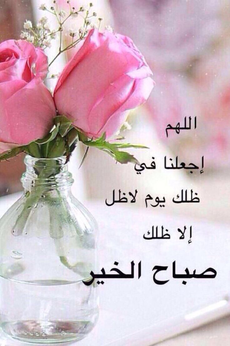 صور لصباح الخير - اجدد واجمل الصور الصباحيه 4420 7