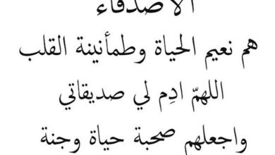 مسجات للاصدقاء الاوفياء/غصن ياقوت لحياتى