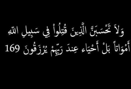 اجمل ما قيل في الشهيد - كلمات جميلة ومعبرة عن الشهيد 13338 4