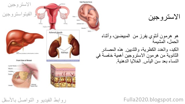 هرمون الاستروجين والحمل , زيادة الهرمونات عند الحامل