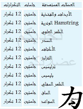 جدول التمارين الرياضية - تنشيط العضلات في 6اسابيع 470 10