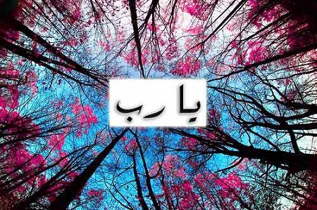 صور مكتوب عليها يارب/التقرب الى الله 4413 6