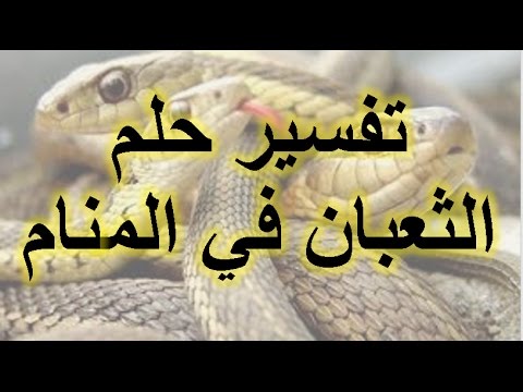 قتلت افعى في المنام , تفسير قتل الثعبان