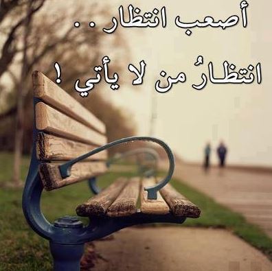 صور ندم واسف - كلام ندم واسف 4430