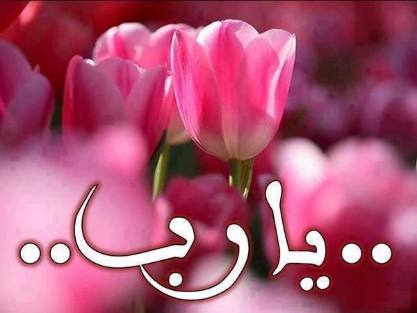 صور شخصيه 2020 - احلي صور للصفحات 4450 5