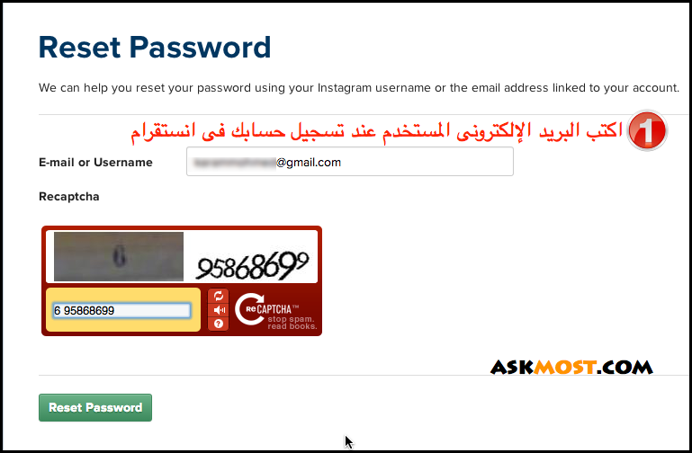 طريقة استرجاع حساب الانستقرام بدون الايميل - اتبعنا هنا حنعرفك كل حاجة 1736