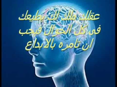 كيف تصبح داهية - شغل عقلك شوية اكيد حتعرف 1662 1