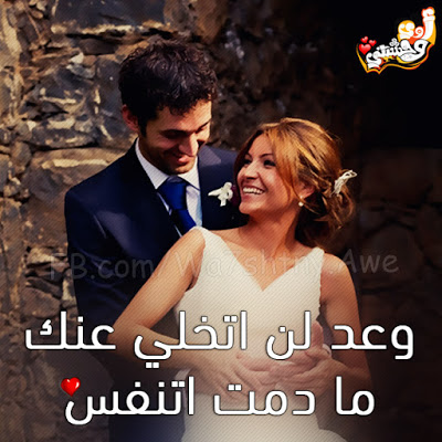 صور مكتوب عليها ابداع - خلفيات حديثة 2019 4202 7