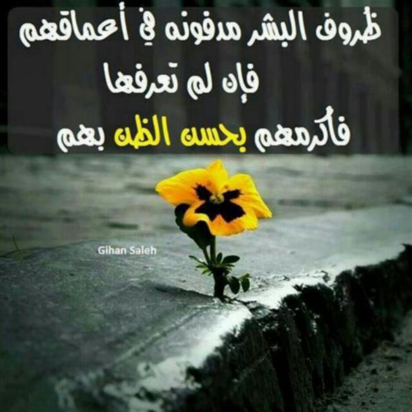 صدتك عني غريبه - بعدك يثير قلقي 6656 9