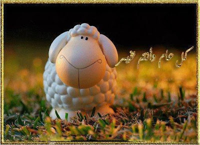 صور خروف العيد - خلفيات مضحكة خرفان عيد الاضحى 4729 4