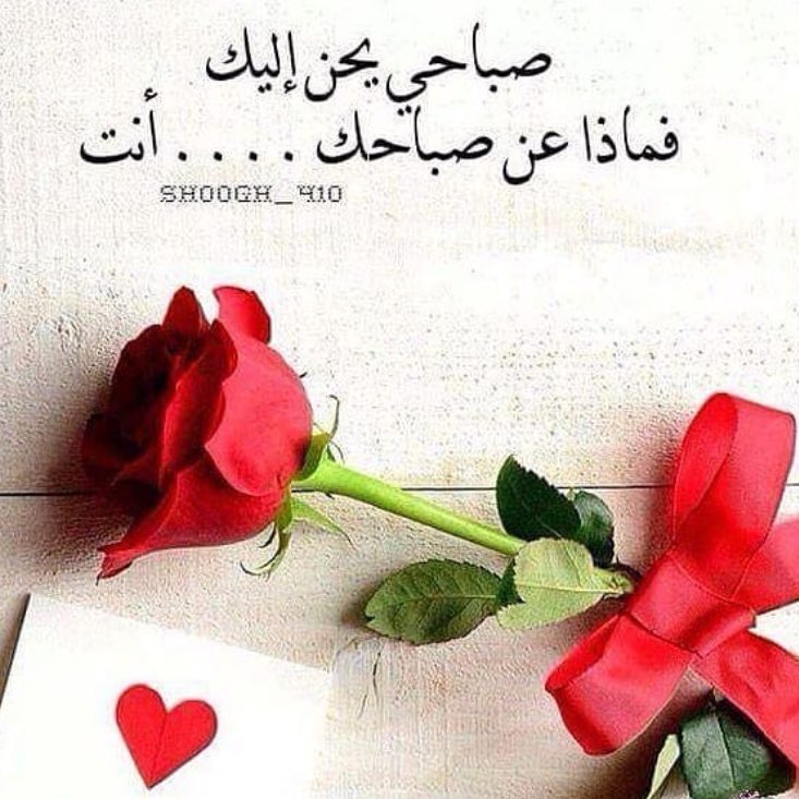 صور لصباح الخير - اجدد واجمل الصور الصباحيه 4420 3