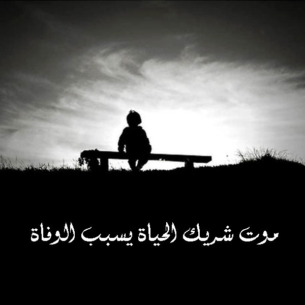 شعر عن الوحدة والحزن/عمق المعانى 5409 5