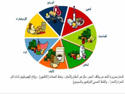 مطوية عن يوم الصحة العالمي - معلومات عن الغذاء والصحة 6244 2