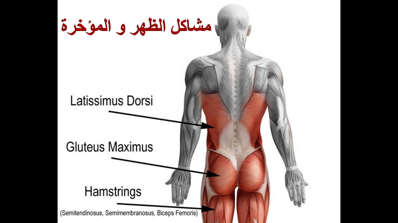 وجع الارداف - انتبه لهذه الاعراض 17168 1