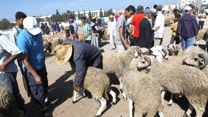 صور عيد الاضحى - بوستات للعيد الكبير 4671 2