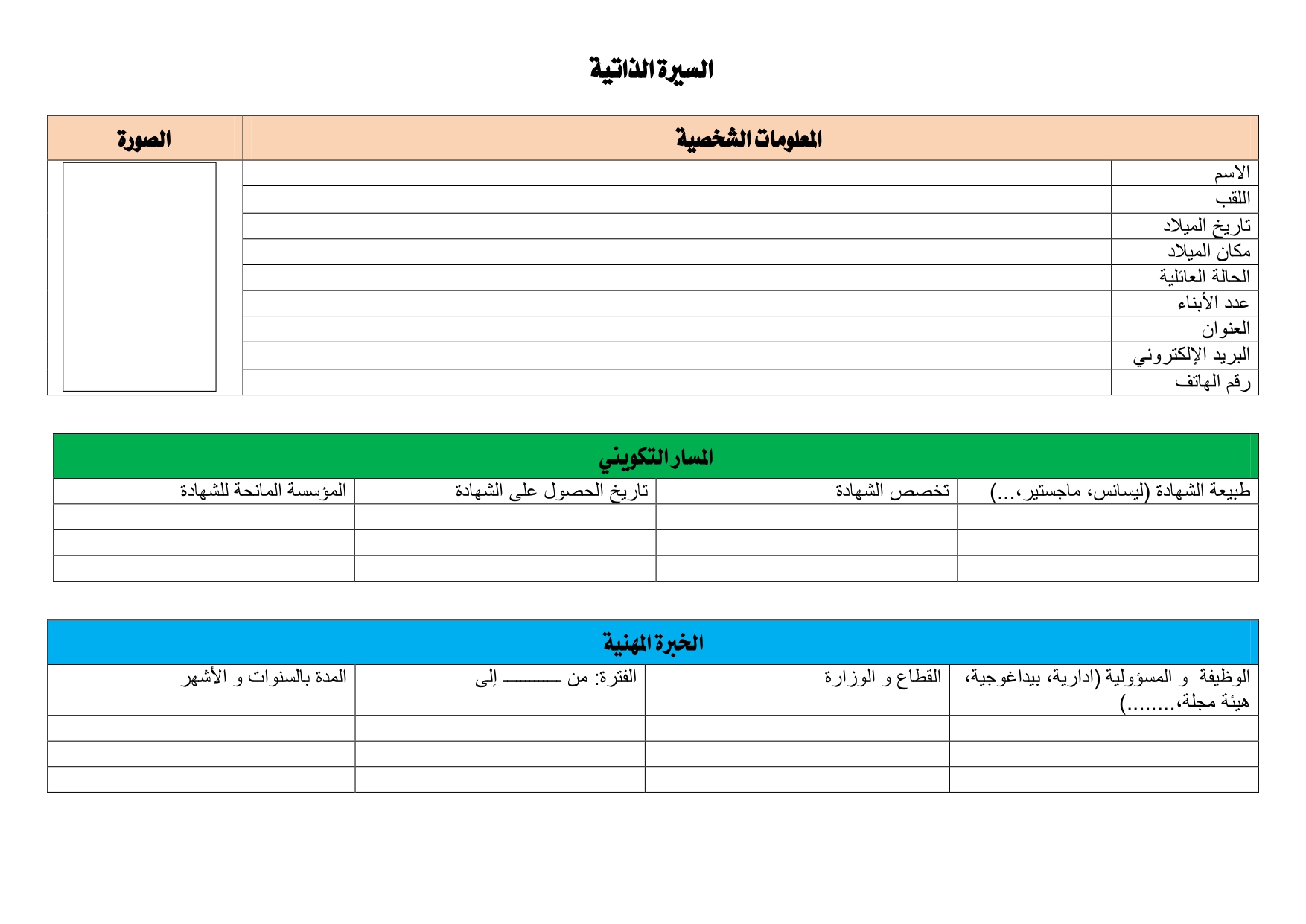 نماذج لل Cv - سيرة ذاتية للتقدم للوظيفة 6641 3