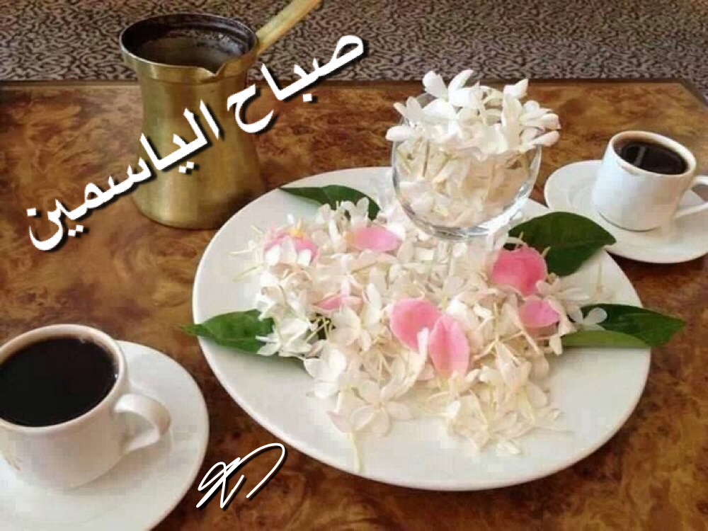 صور صباح الياسمين - احلى اشراقة بصباح الياسمين 4292