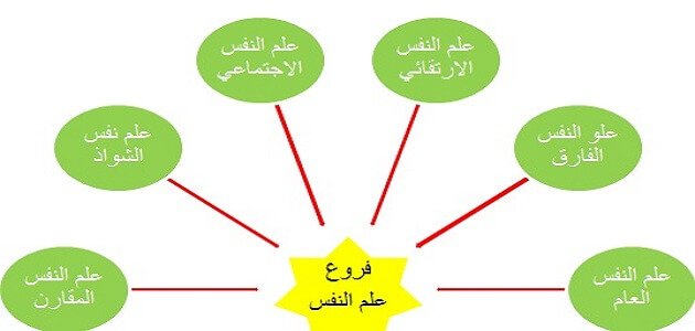 كتاب علم النفس الاجتماعي - أهمية علم النفس الإجتماعى 5904 2