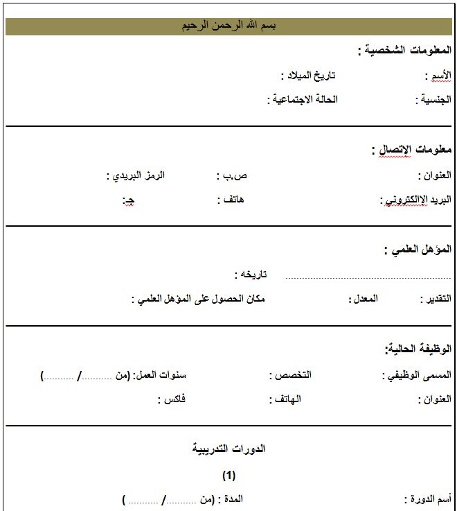 نموذج سي في - افضل المعلومات التي تضفها للوظيفة 795 6