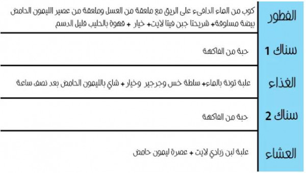 نظام رجيم سالي فؤاد 5814 2