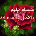 74 8 مساء الورد والفل والياسمين مسجات - مسي علي الحبايب بنكهة الزهور بدريه بكر