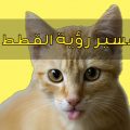 2984 2 براز القطط في المنام - تفسير حلم رؤية قطة في الحلم علاء حمدي