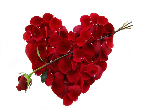 3884 صور قلوب رومانسيه - خلفيات جميلة للقلوب حلوة الدنيا
