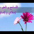 Unnamed File 1391 صور كلمات جميلة - اجمل الكلمات فى عبارات بالصور ريفال سلامه