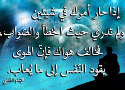 5961 3 شعر الامام الشافعي عن الحب - اشعار حب وغرام للشافعى نقاء علي
