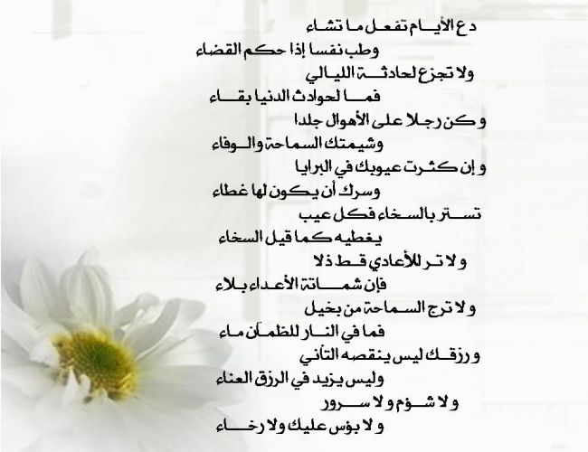 5961 8 شعر الامام الشافعي عن الحب - اشعار حب وغرام للشافعى نقاء علي