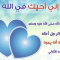 3211 12 رسائل اخوة في الله/الصديق وقت الضيق علاء حمدي