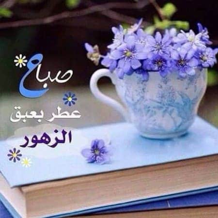 رسائل صباح الخير 2019 صور - تغريدات الصباح والتفاؤل 3203 1