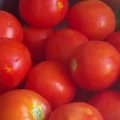 17206 1 طريقة فرم الطماطم - طريقة ولا اسهل رامية كروان